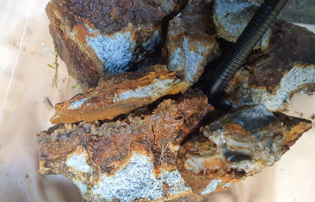 Gold Co. Finds 'Bonanza-Grade' Structure at Fiji Project